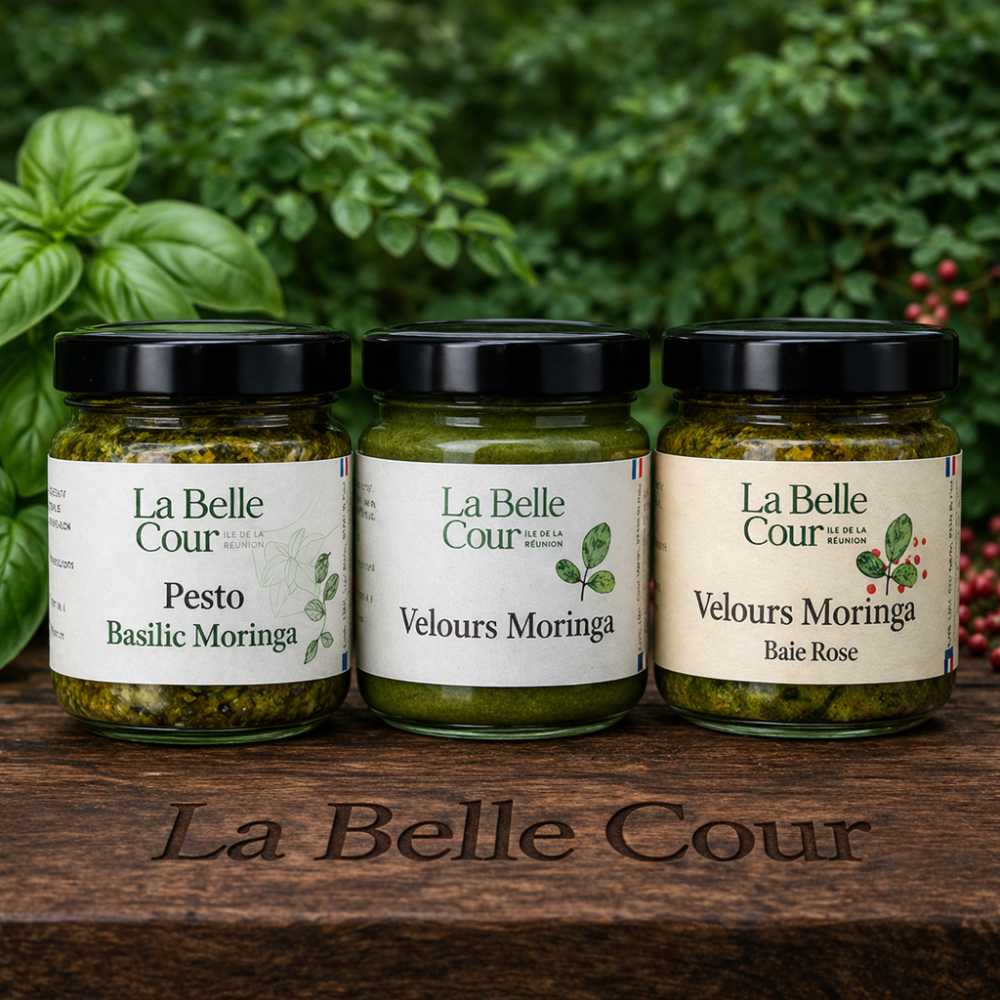 PACK DECOUVERT TRIO DE TARTINABLE MORINGA BIO -  La Belle Cour