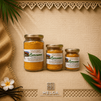 CURCUMA DE LUXE EN POT  - La Maison du Curcuma / Mémé Rivière